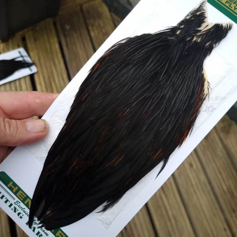 Whiting Hebert Miner Hen Cape in Natural Black C-1