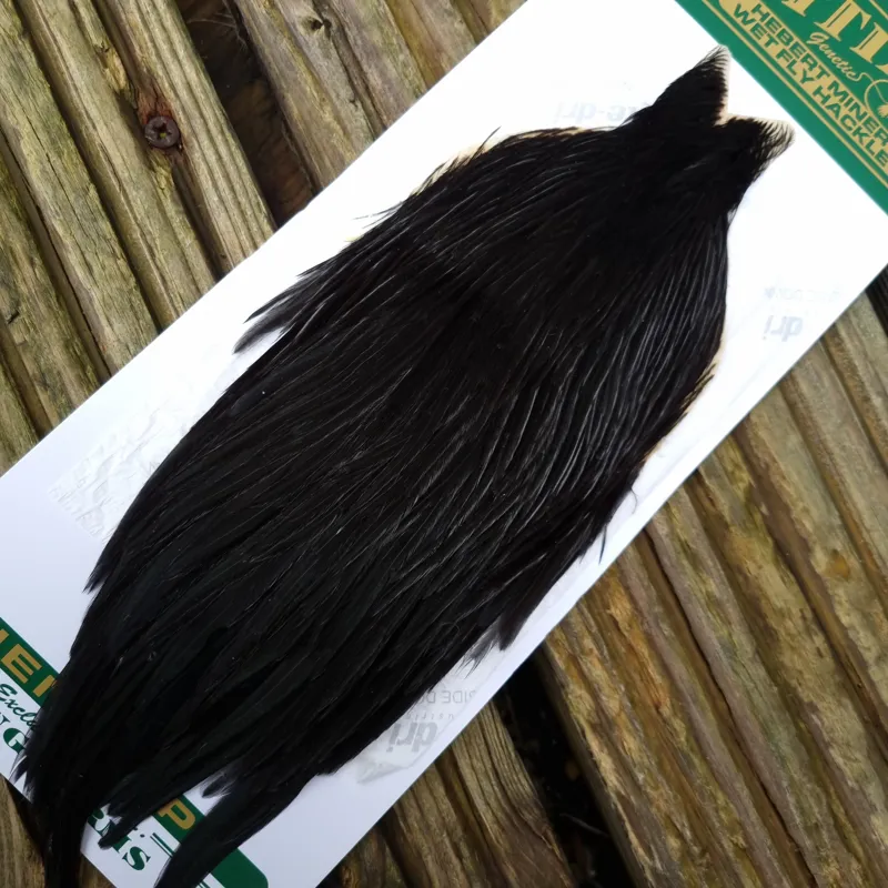 Whiting Hebert Miner Hen Cape in Natural Black F