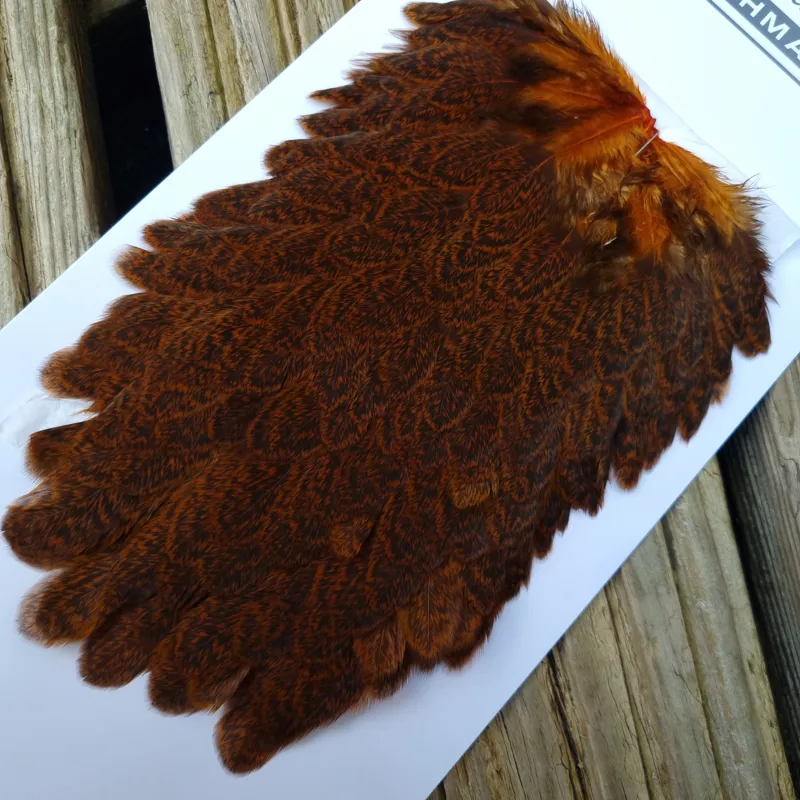 Whiting Brahma Hen Saddle in Burnt Orange-3
