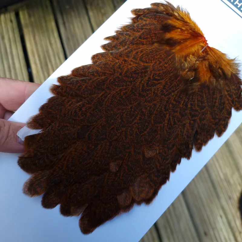 Whiting Brahma Hen Saddle in Burnt Orange-6