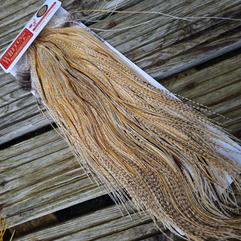 Whiting Bronze Grade Dry Fly Rooster Saddle in Unique Variant A Silver Badger/Golden Badger/Grizzly/Cream/Light Ginger Approx Tying Size 14/16/18/20-1