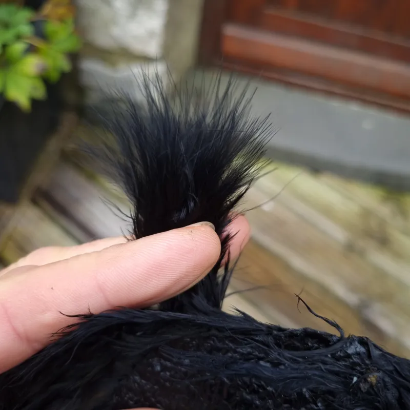 Whiting Super Bou in Black-3