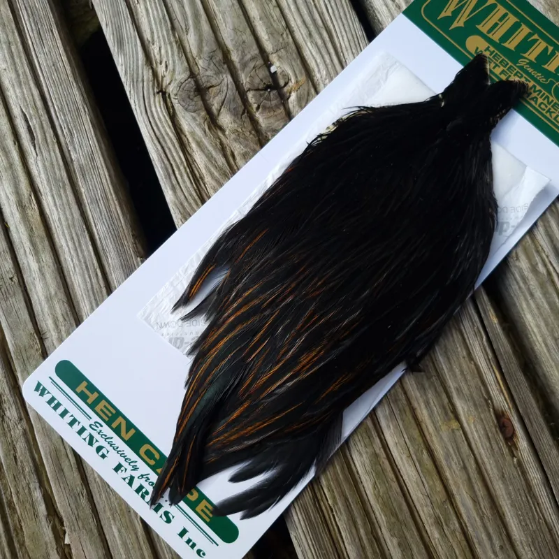 Whiting Hebert Miner Hen Cape in Natural Black A Natural Black Rear End Splashed with Furnace-1