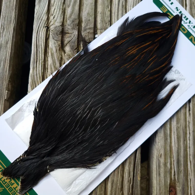 Whiting Hebert Miner Hen Cape in Natural Black A Natural Black Rear End Splashed with Furnace