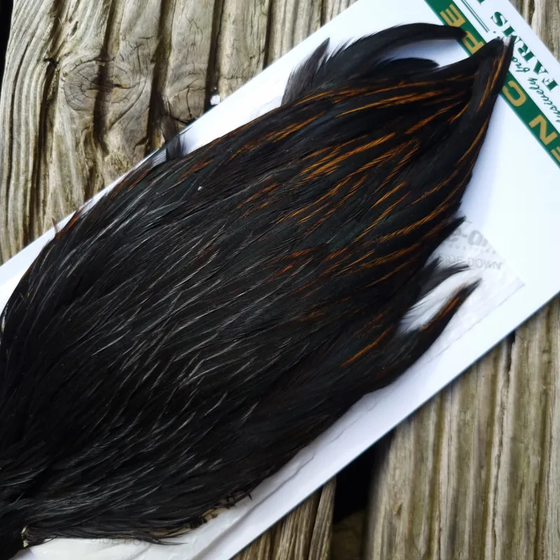 Whiting Hebert Miner Hen Cape in Natural Black A Natural Black Rear End Splashed with Furnace-2
