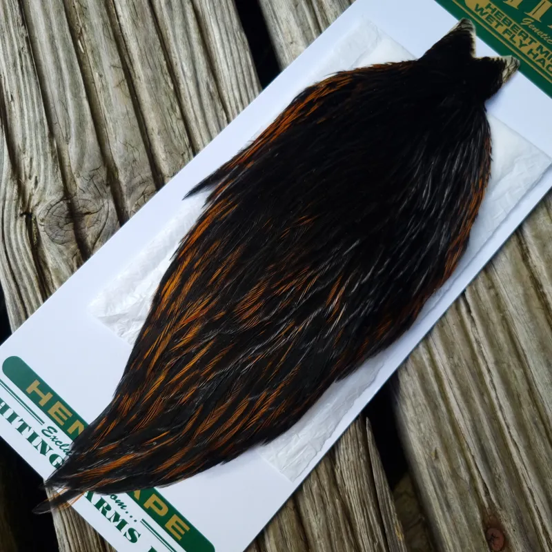 Whiting Hebert Miner Hen Cape in Natural Black E Natural Black Rear End Splashed with Furnace