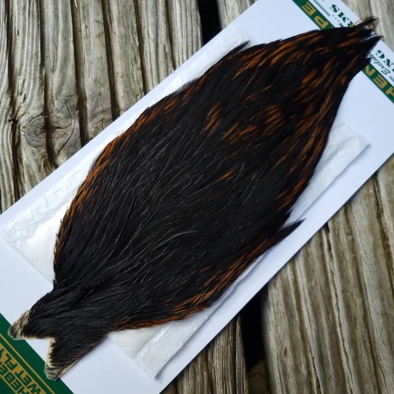 Whiting Hebert Miner Hen Cape in Natural Black E Natural Black Rear End Splashed with Furnace-1