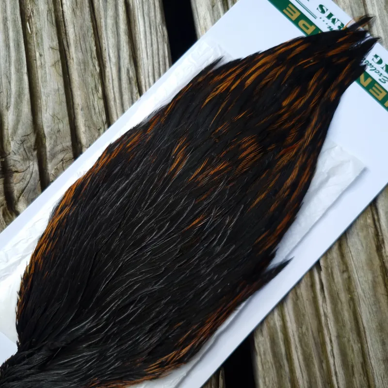 Whiting Hebert Miner Hen Cape in Natural Black E Natural Black Rear End Splashed with Furnace-2