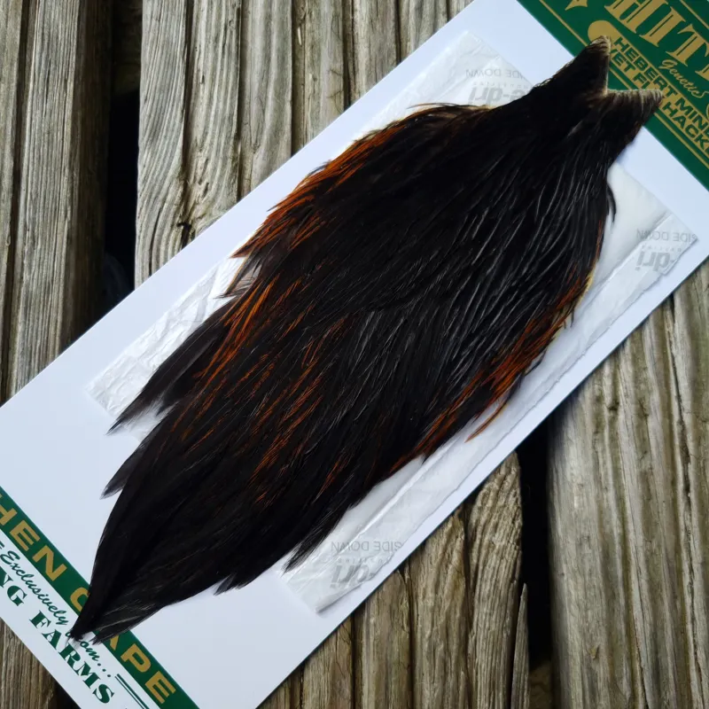Whiting Hebert Miner Hen Cape in Natural Black F Natural Black Rear End Splashed with Furnace-2