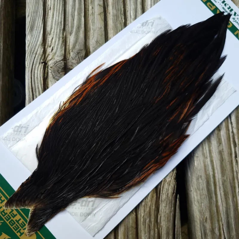 Whiting Hebert Miner Hen Cape in Natural Black F Natural Black Rear End Splashed with Furnace