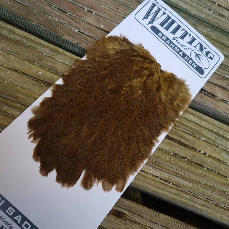 Whiting Brahma Hen Saddle in Golden Olive-5