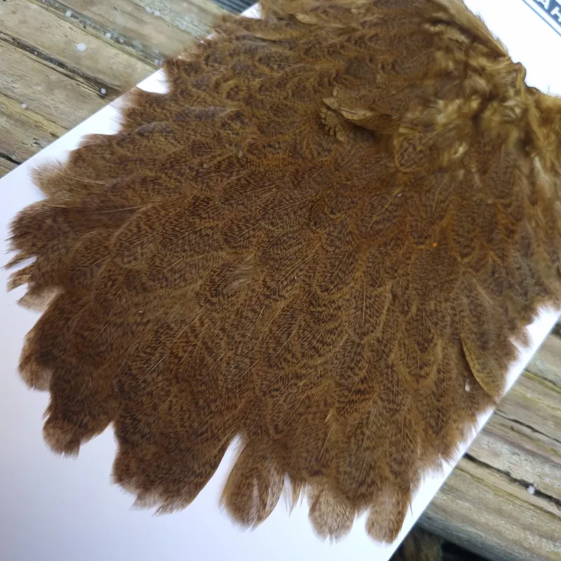 Whiting Brahma Hen Saddle in Golden Olive-4