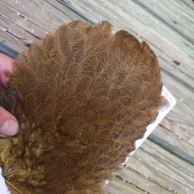 Whiting Brahma Hen Saddle in Golden Olive-1