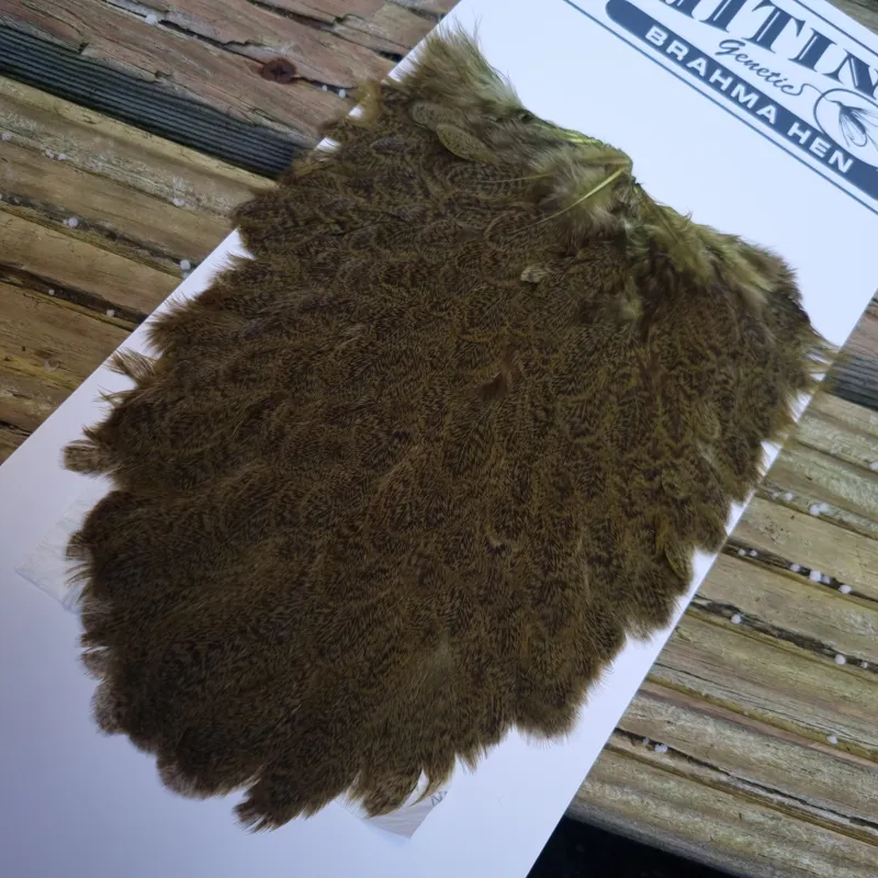 Whiting Brahma Hen Saddle in Olive-2