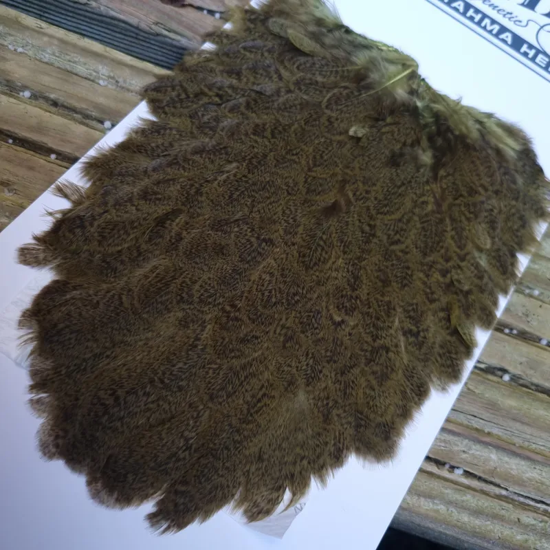 Whiting Brahma Hen Saddle in Olive-4