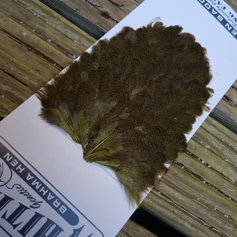 Whiting Brahma Hen Saddle in Olive-6