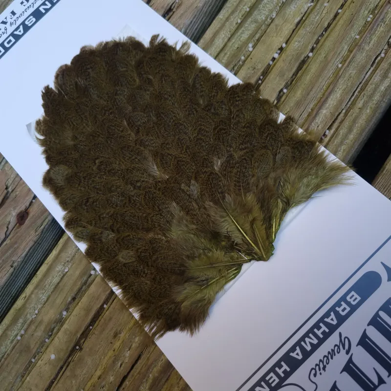 Whiting Brahma Hen Saddle in Olive-8