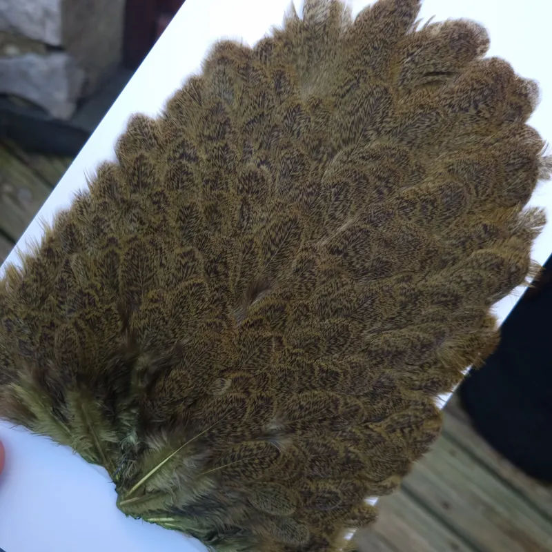 Whiting Brahma Hen Saddle in Olive