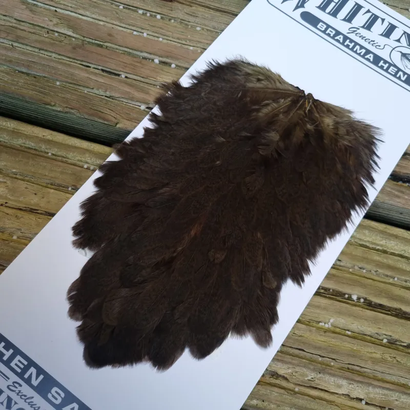 Whiting Brahma Hen Saddle in Dark Olive-3