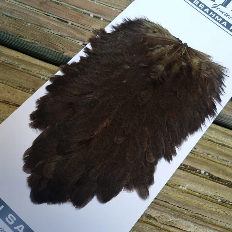 Whiting Brahma Hen Saddle in Dark Olive-1