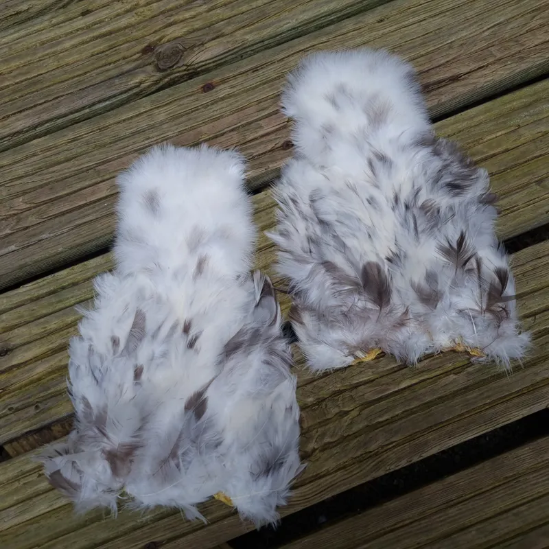 Whiting Coq de Leon Hen Soft Hackle with Chickabou in Unique Variant-1