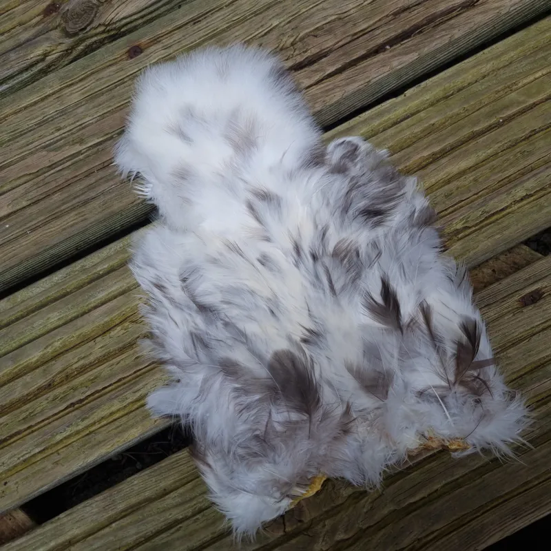 Whiting Coq de Leon Hen Soft Hackle with Chickabou in Unique Variant