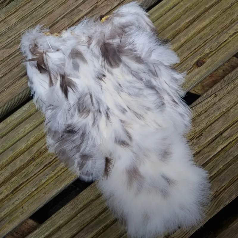 Whiting Coq de Leon Hen Soft Hackle with Chickabou in Unique Variant-4