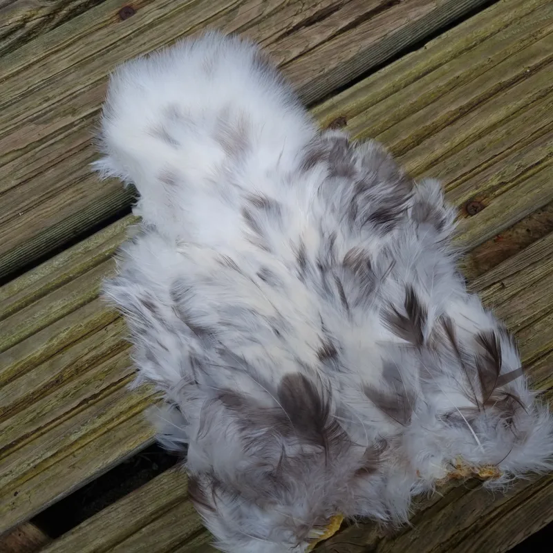 Whiting Coq de Leon Hen Soft Hackle with Chickabou in Unique Variant-5