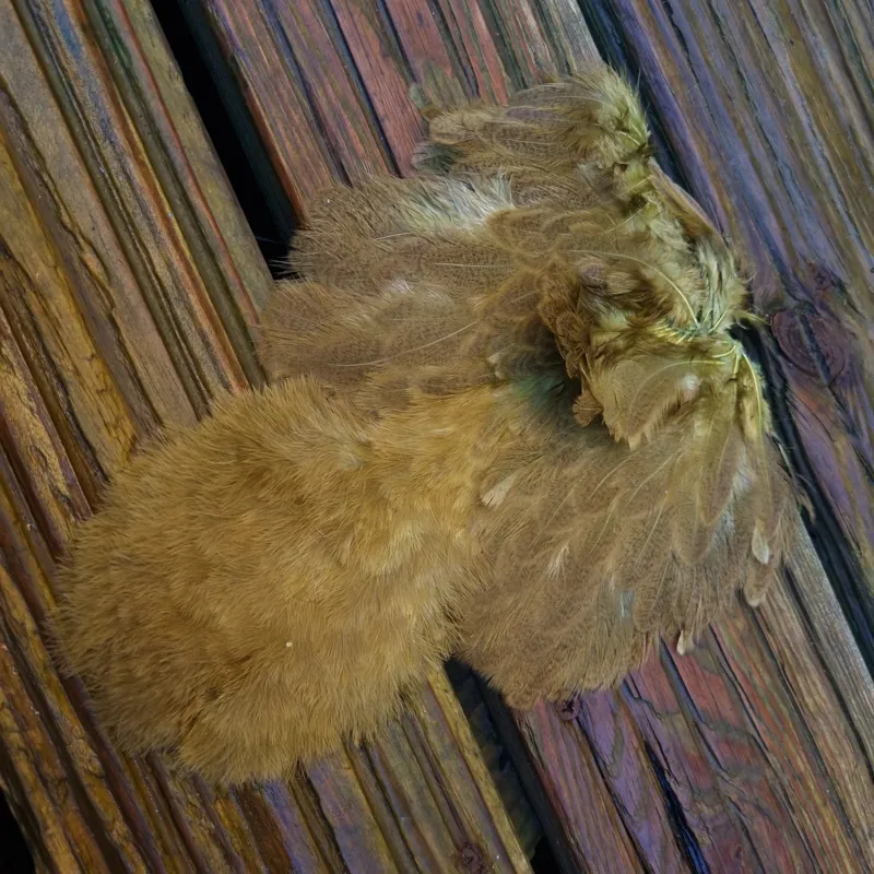 Whiting Brahma Hen Soft Hackle with Chickabou in Mottled Olive A-2