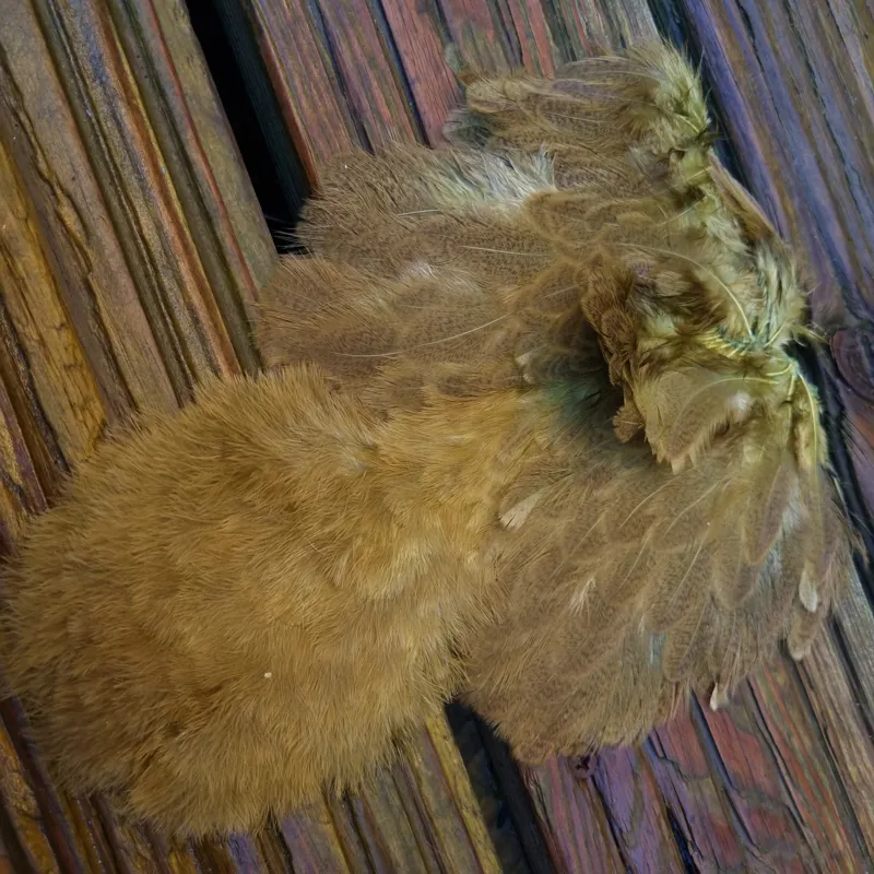 Whiting Brahma Hen Soft Hackle with Chickabou in Mottled Olive A