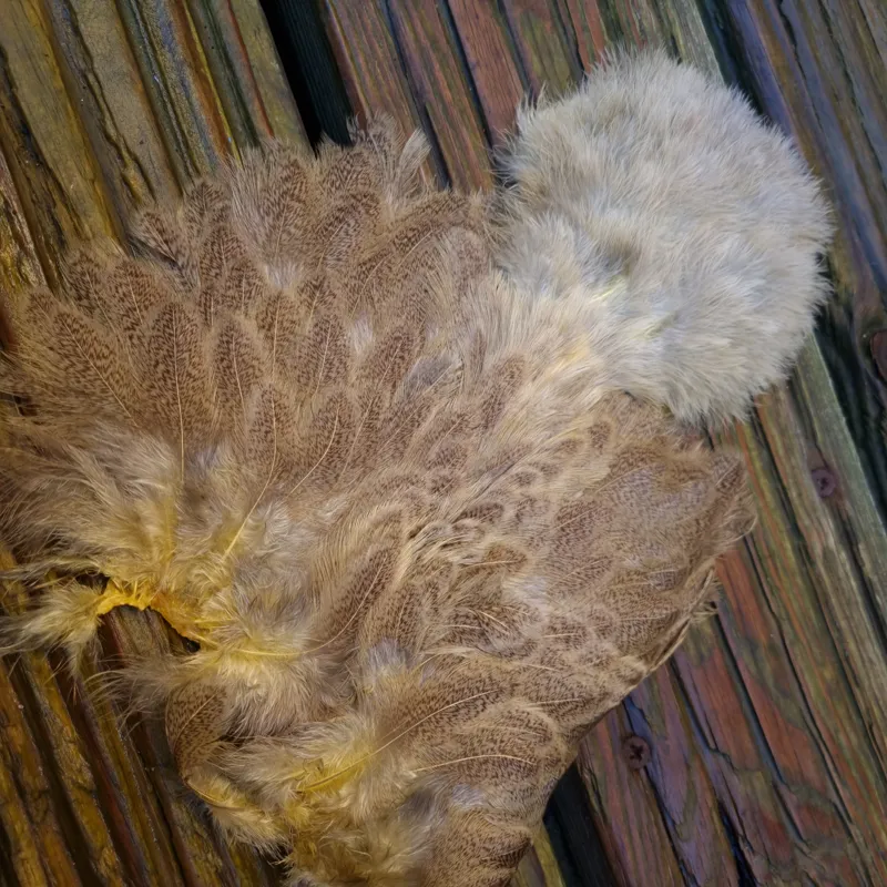 Whiting Brahma Hen Soft Hackle with Chickabou in Mottled Pale Yellow A-3