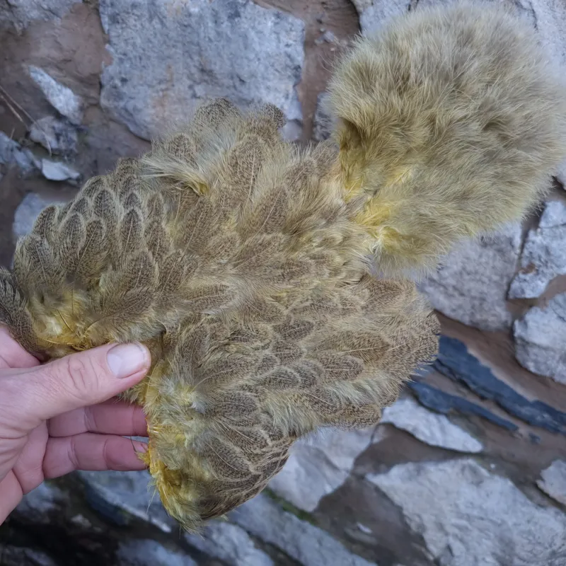 Whiting Brahma Hen Soft Hackle with Chickabou in Mottled Pale Yellow B