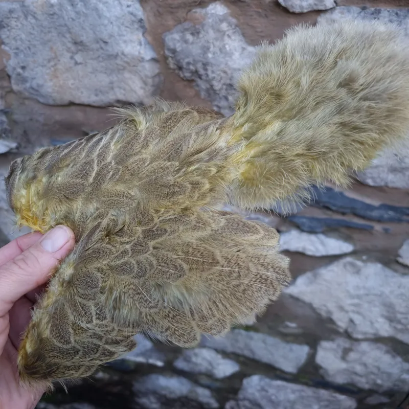 Whiting Brahma Hen Soft Hackle with Chickabou in Mottled Pale Yellow B-4