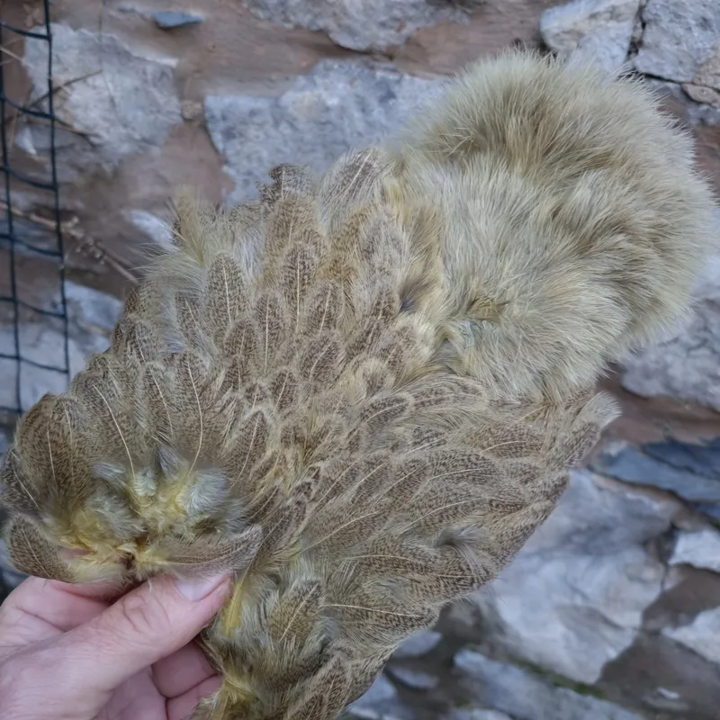 Whiting Brahma Hen Soft Hackle with Chickabou in Mottled Pale Yellow C