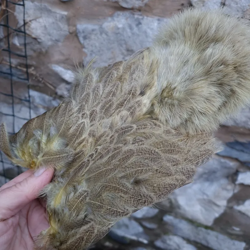 Whiting Brahma Hen Soft Hackle with Chickabou in Mottled Pale Yellow C-4