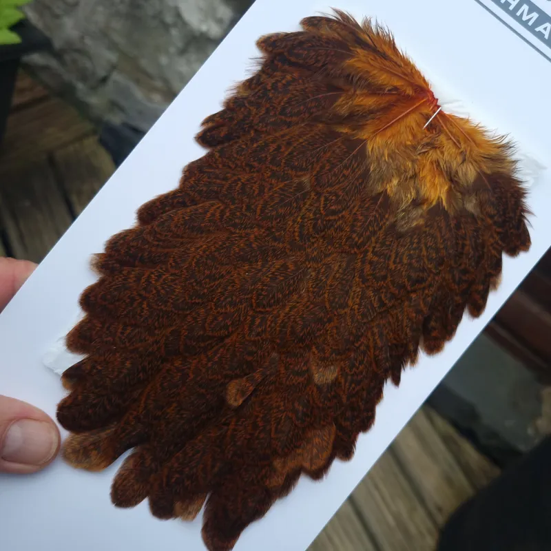 Whiting Brahma Hen Saddle in Burnt Orange-1