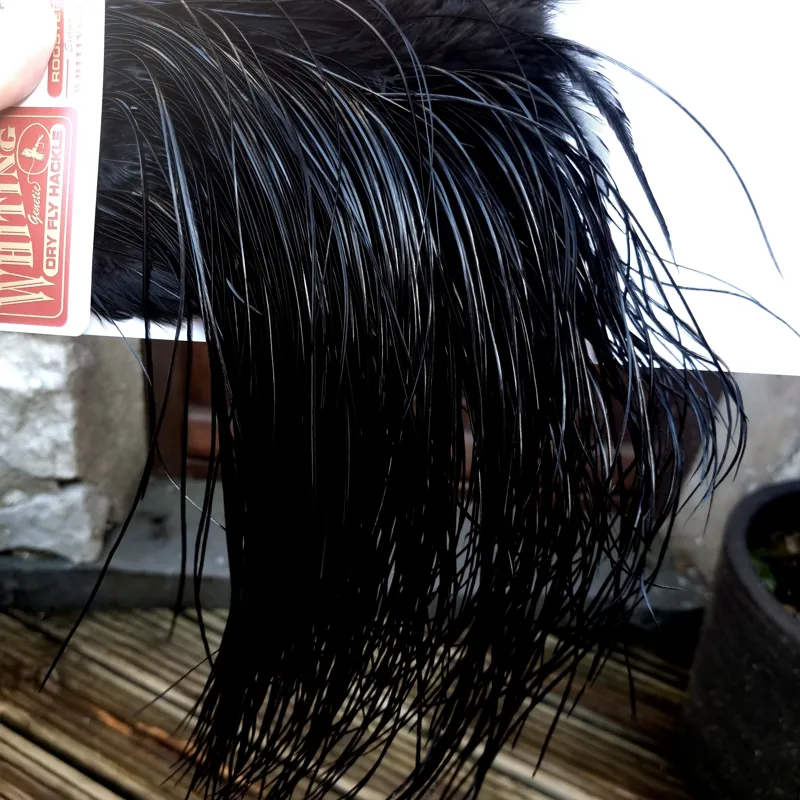 Whiting Pro-Grade Midge Rooster Saddle in Black C Approx Tying Sizes Few 14 and Stuffed with 16/18/20/22 /24/26b and out of sight