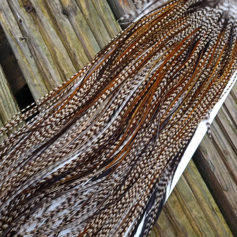 Whiting Heritage Hackles Rooster Saddle in Mixed Colours C Grizzly/Grizzly Variant/Greenwell's/Furnace Tying Approx Few 12 and Stuffed with 14/16 and few 18-3