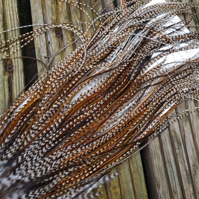 Whiting Heritage Hackles Rooster Saddle in Mixed Colours C Grizzly/Grizzly Variant/Greenwell's/Furnace Tying Approx Few 12 and Stuffed with 14/16 and few 18-8