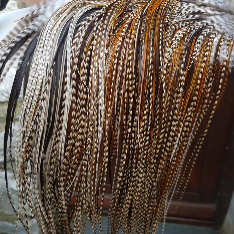 Whiting Heritage Hackles Rooster Saddle in Mixed Colours C Grizzly/Grizzly Variant/Greenwell's/Furnace Tying Approx Few 12 and Stuffed with 14/16 and few 18-7