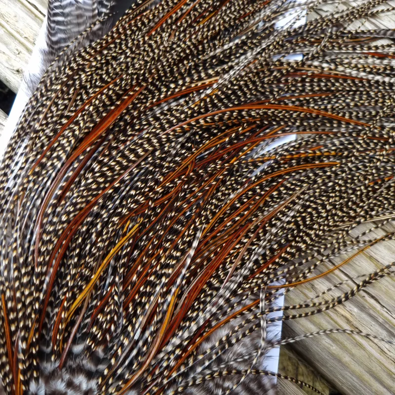 Whiting Pro-Grade Midge Rooster Saddle in CREE C CREE Splashed with Furnace Approx Tying Sizes Few14/16/18/20 and a Few going Smaller-3