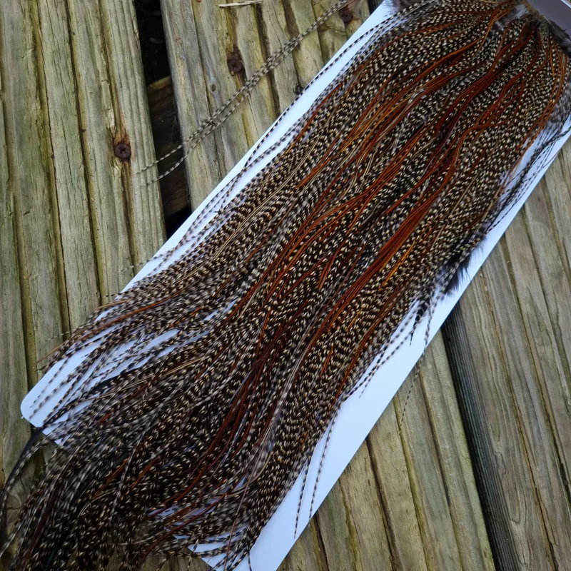 Whiting Bronze Grade Midge Rooster Saddle in CREE C Approx Tying Size Some 14 and stuffed with 16/18/20/22/24 and out of sight-4