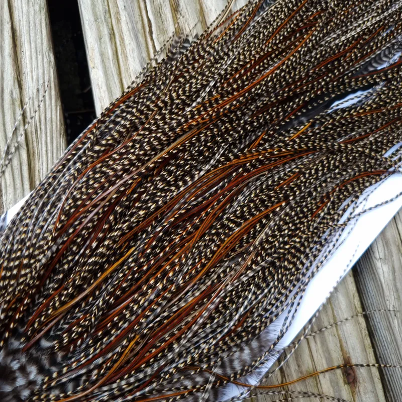 Whiting Pro-Grade Midge Rooster Saddle in CREE C CREE Splashed with Furnace Approx Tying Sizes Few14/16/18/20 and a Few going Smaller-2