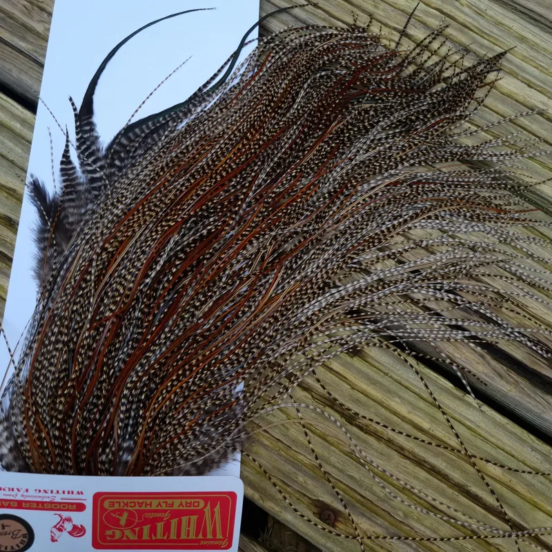 Whiting Bronze Grade Midge Rooster Saddle in CREE C Approx Tying Size Some 14 and stuffed with 16/18/20/22/24 and out of sight-5