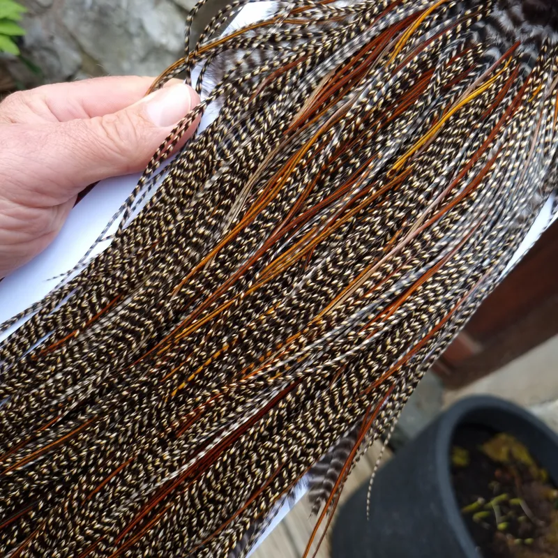 Whiting Pro-Grade Midge Rooster Saddle in CREE C CREE Splashed with Furnace Approx Tying Sizes Few14/16/18/20 and a Few going Smaller-1
