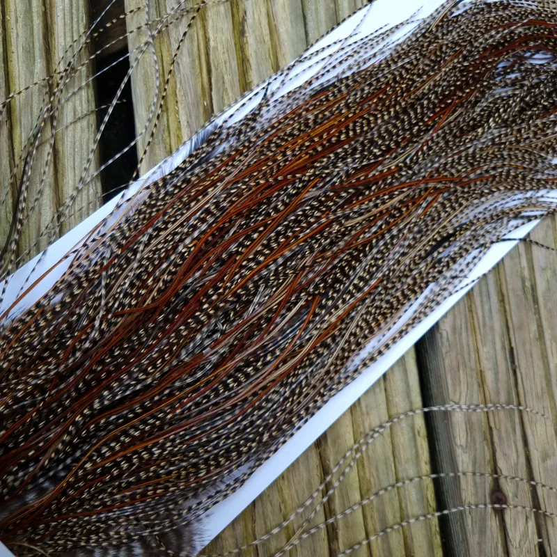 Whiting Bronze Grade Midge Rooster Saddle in CREE C Approx Tying Size Some 14 and stuffed with 16/18/20/22/24 and out of sight-7