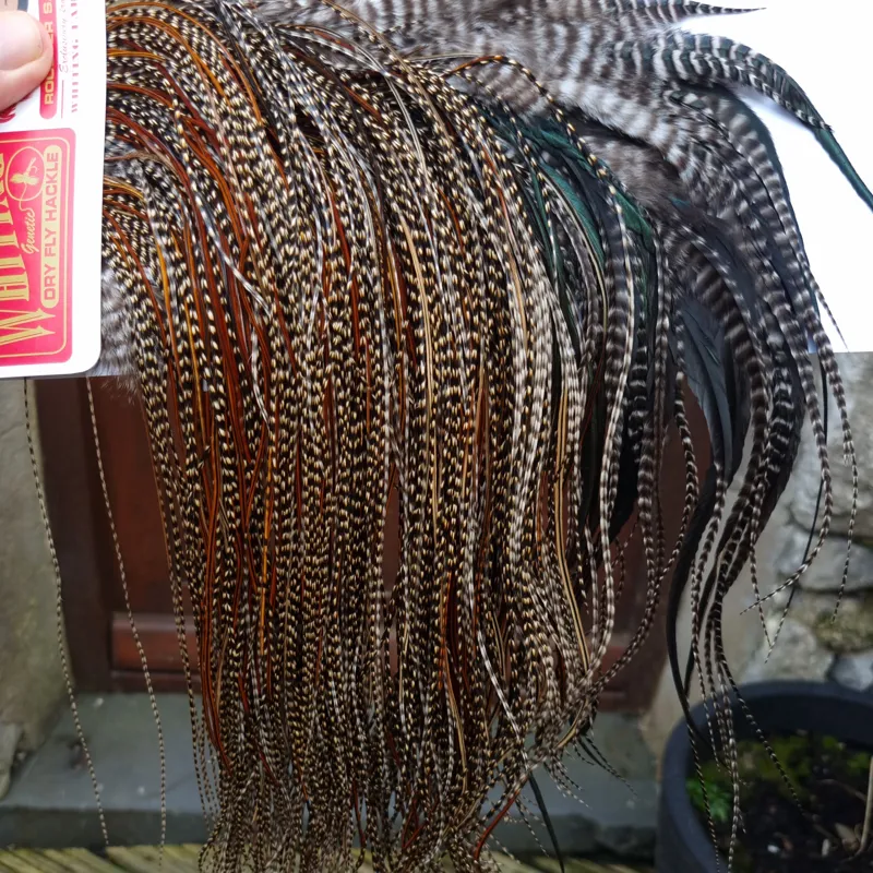 Whiting Bronze Grade Midge Rooster Saddle in CREE C Approx Tying Size Some 14 and stuffed with 16/18/20/22/24 and out of sight-3