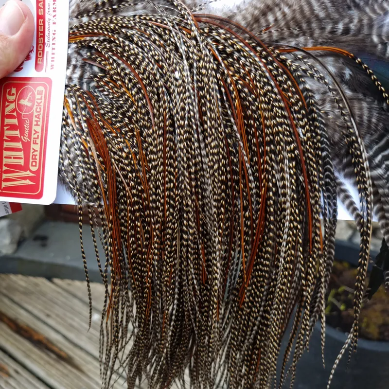 Whiting Pro-Grade Midge Rooster Saddle in CREE C CREE Splashed with Furnace Approx Tying Sizes Few14/16/18/20 and a Few going Smaller-4