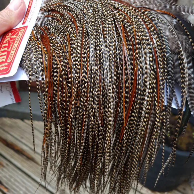 Whiting Pro-Grade Midge Rooster Saddle in CREE C CREE Splashed with Furnace Approx Tying Sizes Few14/16/18/20 and a Few going Smaller