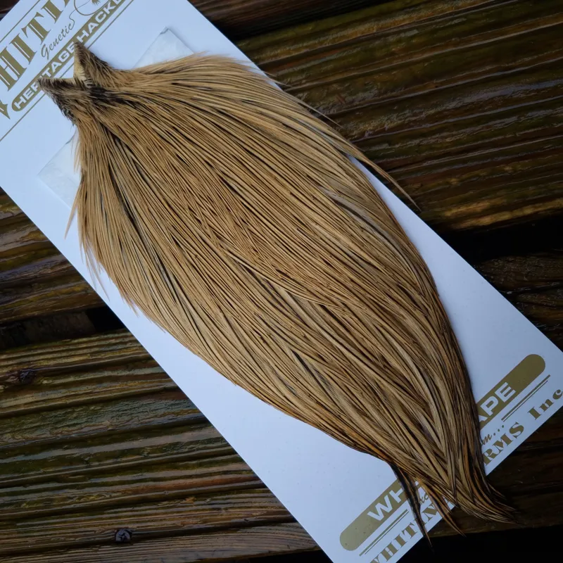 Whiting Heritage Hackles Rooster Cape in Mixed Colours C Golden Badger-1